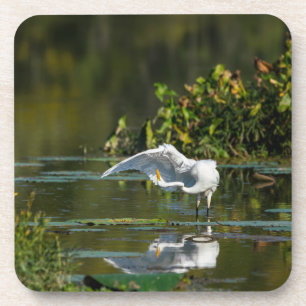 Egret Wing Exam Getränkeuntersetzer