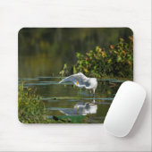 Egret Wing Exam Mousepad (Mit Mouse)