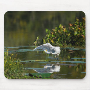 Egret Wing Exam Mousepad