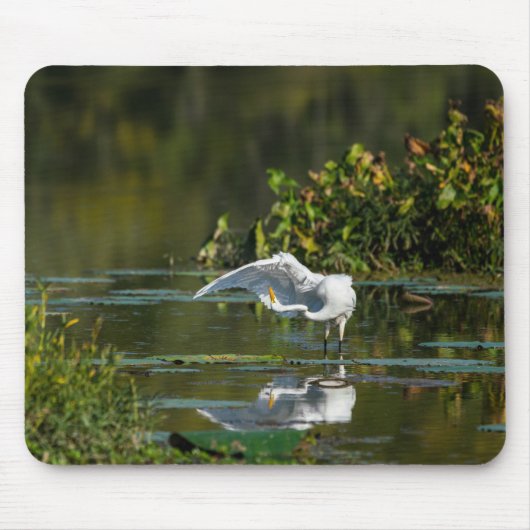 Egret Wing Exam Mousepad (Vorne)
