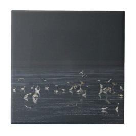 Egrets am Mitternachtsblau Fliese