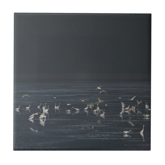 Egrets am Mitternachtsblau Fliese (Vorderseite)