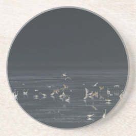 Egrets am Mitternachtsblau Getränkeuntersetzer