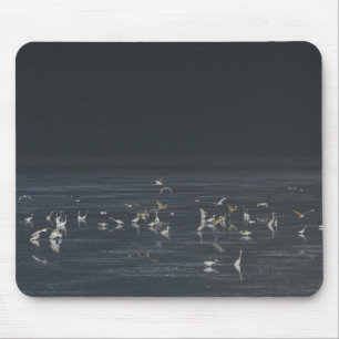 Egrets am Mitternachtsblau Mousepad