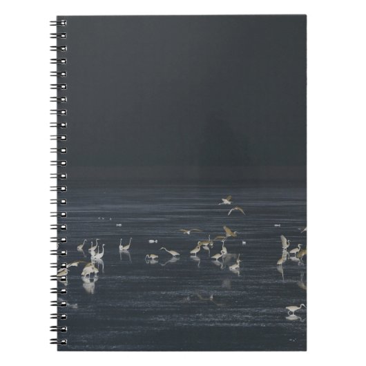 Egrets am Mitternachtsblau Notizblock (Vorderseite)