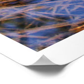 Egret's Feather Poster (Ecke)