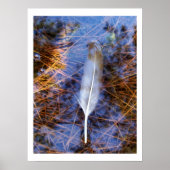 Egret's Feather Poster (Vorne)