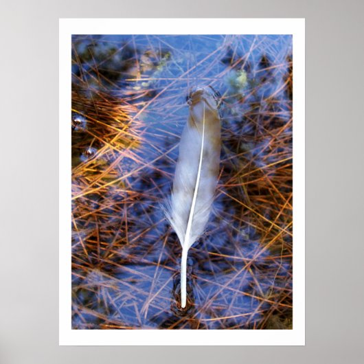 Egret's Feather Poster (Vorne)