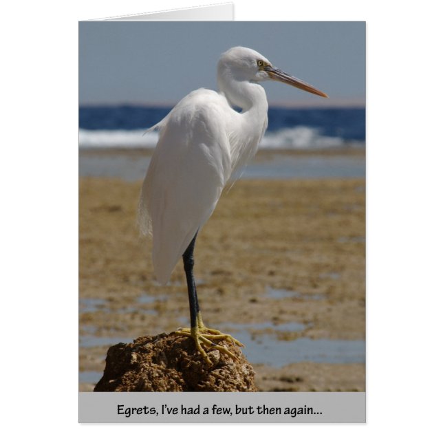 Egrets Ich hatte ein paar (Vorne)