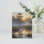 Egrets in Everglades National Park Morning Postkarte (Stehend Vorderseite)
