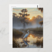 Egrets in Everglades National Park Morning Postkarte (Vorne/Hinten)