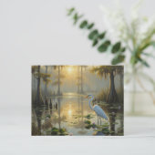 Egrets in Everglades Nationalpark Morning Postkarte (Stehend Vorderseite)
