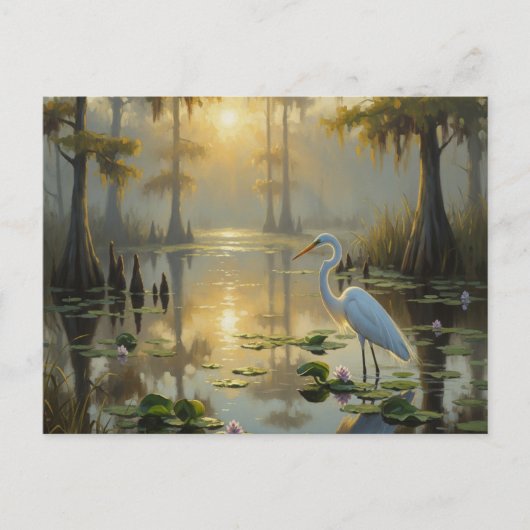 Egrets in Everglades Nationalpark Morning Postkarte (Vorderseite)