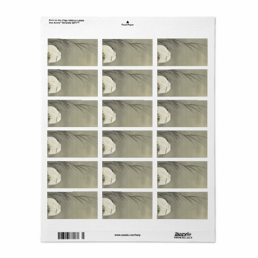 Egrets in Sumpf von Ohara Koson Adressaufkleber (Vorne)