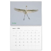 Egrets-Kalender 2025 Kalender (Mär 2026)