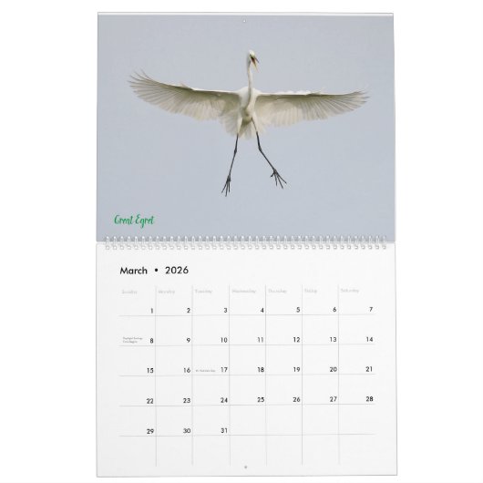 Egrets-Kalender 2025 Kalender (Mär 2026)