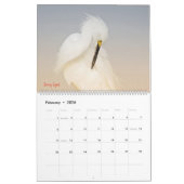 Egrets-Kalender 2025 Kalender (Feb 2026)