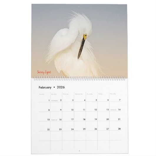 Egrets-Kalender 2025 Kalender (Feb 2026)