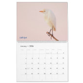 Egrets-Kalender 2025 Kalender (Jan 2026)