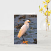 Egretta thula karte (Gelbe Blume)