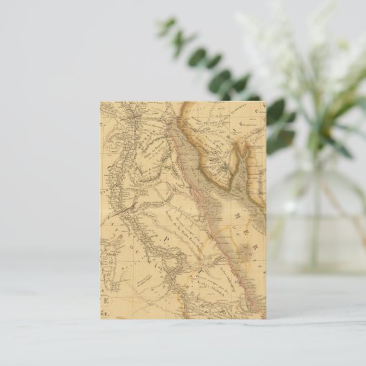 Egypt 7 postkarte (Stehend Vorderseite)