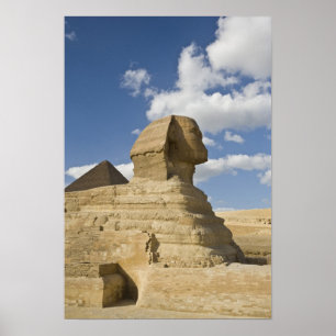 Egypt, Giza. The great Sphynx rises above the Poster