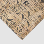 Egyptian hieroglyphics Birds Pattern 2 Seidenpapier (Ausschnitt)