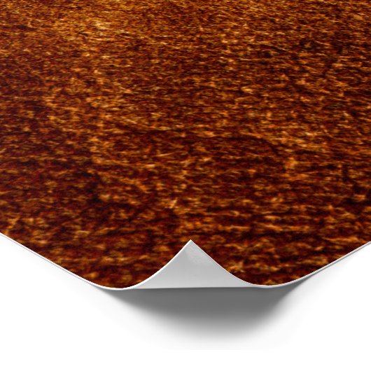 Egyptian Sun God Ra Poster (Ecke)