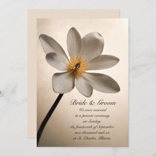 Ehe/Verkündung der weißen Wildblume Ankündigung (Vorne/Hinten)