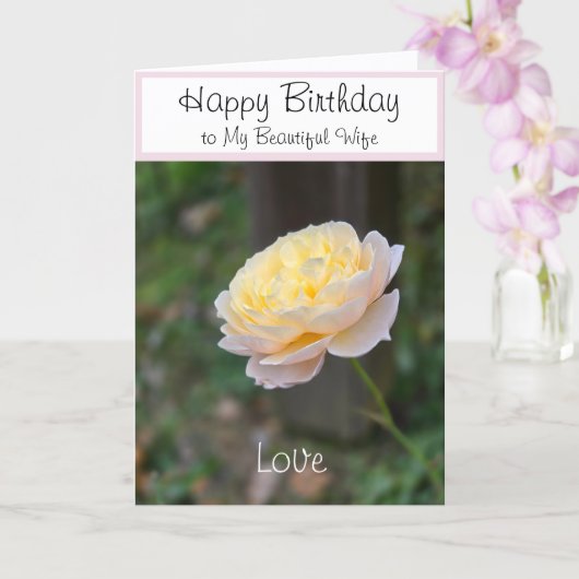 Ehefrau Geburtstag Blume oder für jedermann Karte (Orchidee)