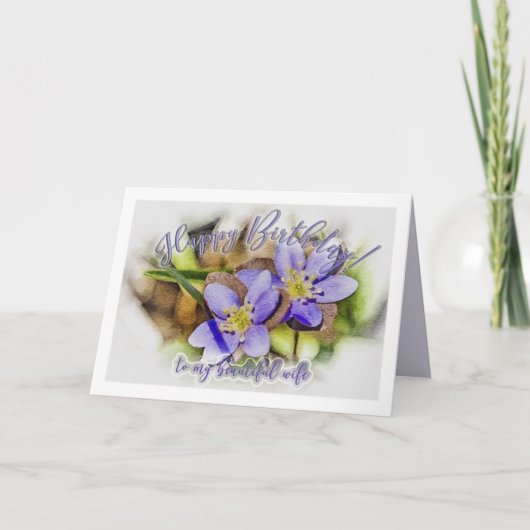 Ehefrau Geburtstag - Hepatica Wildblume Karte (Vorderseite)