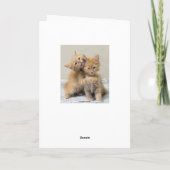 Ehemann-alles- Gute zum Geburtstagorangen-Kätzchen Karte (Rückseite)