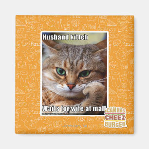 Ehemann Kitteh Magnet