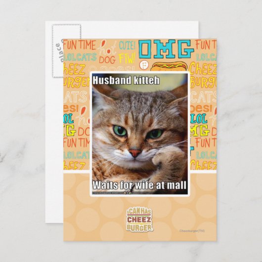 Ehemann Kitteh Postkarte (Vorne/Hinten)