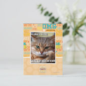 Ehemann Kitteh Postkarte (Stehend Vorderseite)