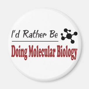 Eher tut Molekularbiologie Magnet