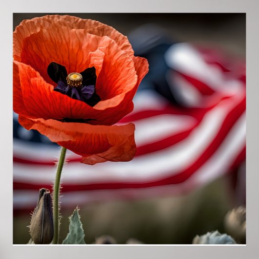 Ehre diejenigen, die alle gegeben haben poster (Vorne)