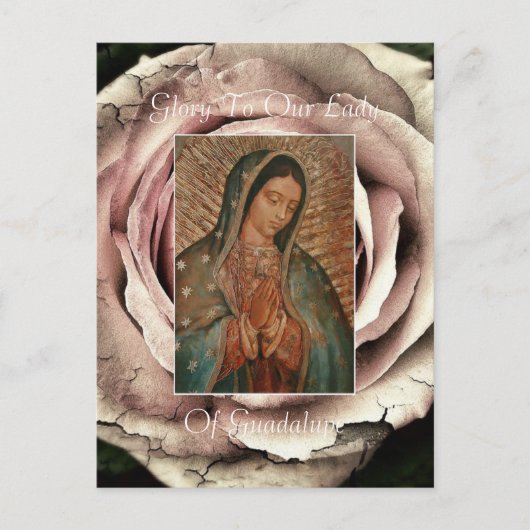 Ehre für unsere Dame von Guadalupe Postkarte (Vorderseite)