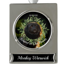 Ehre unser Haustier-Gedenkschmuck