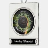 Ehre unser Haustier-Gedenkschmuck Banner-Ornament Silber (Links)