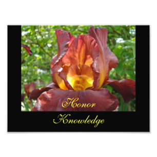 Ehre Wissen Lehrkunst Drucke Iris Blumen