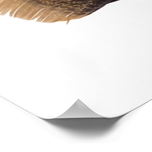 Ehren des Traditions Poster (Ecke)