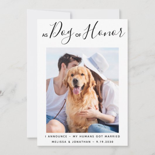 Ehrenhund nur verheiratet Haustier Hochzeitsankünd Save The Date (Vorderseite)