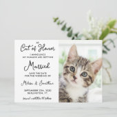 Ehrenkatze Foto für Haustiere Lässig Hochzeit Save The Date (Stehend Vorderseite)