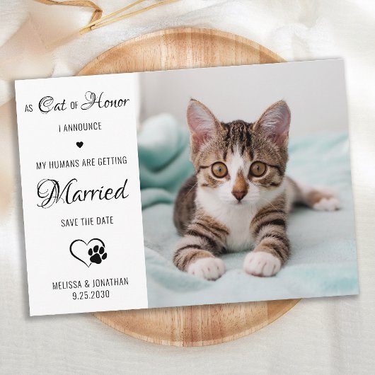Ehrenkatze Personalisiertes Foto Katze Hochzeit Save The Date