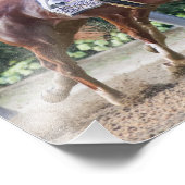 Ehrenkodex und Vino Rosso Fotodruck (Ecke)