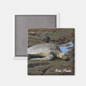 Ehrenruhen auf den warmen Felsen Magnet (Vorderseite/Rückseite)