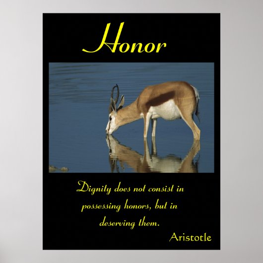 Ehrenschwärme der ungezähmten Schönheit der Natur Poster (Vorne)