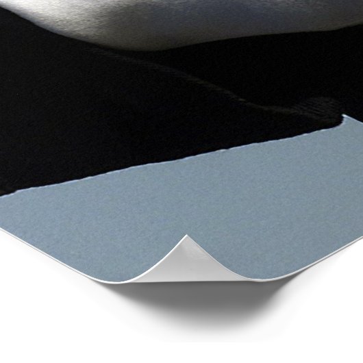 Ehrenwache der Luftwaffe Poster (Ecke)