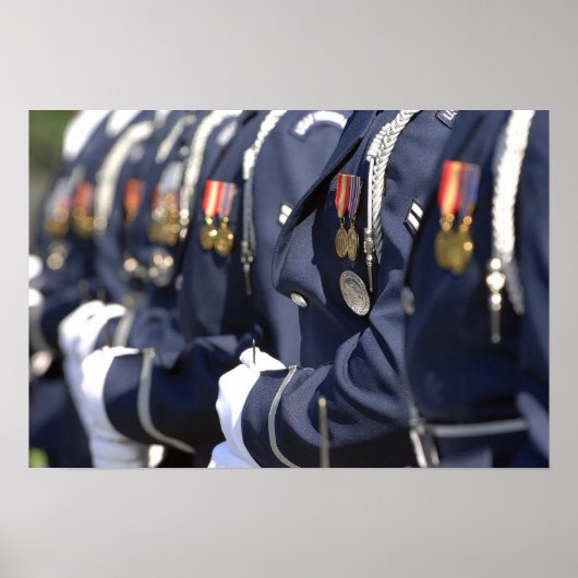 Ehrenwache der Luftwaffe Poster (Vorne)